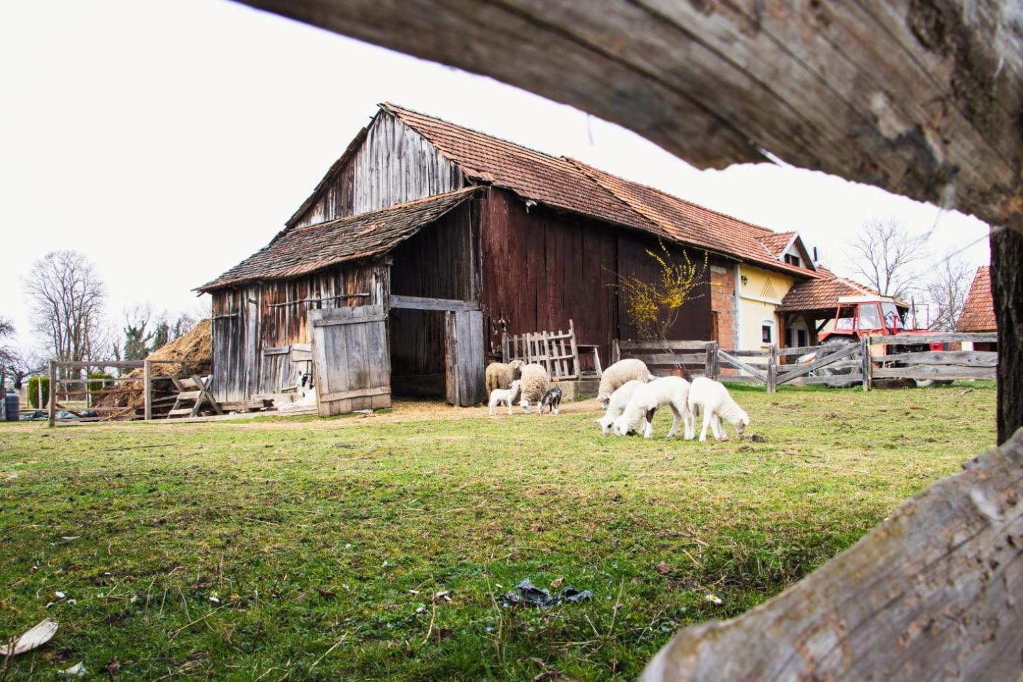 Country House Ivancan Molve ภายนอก รูปภาพ