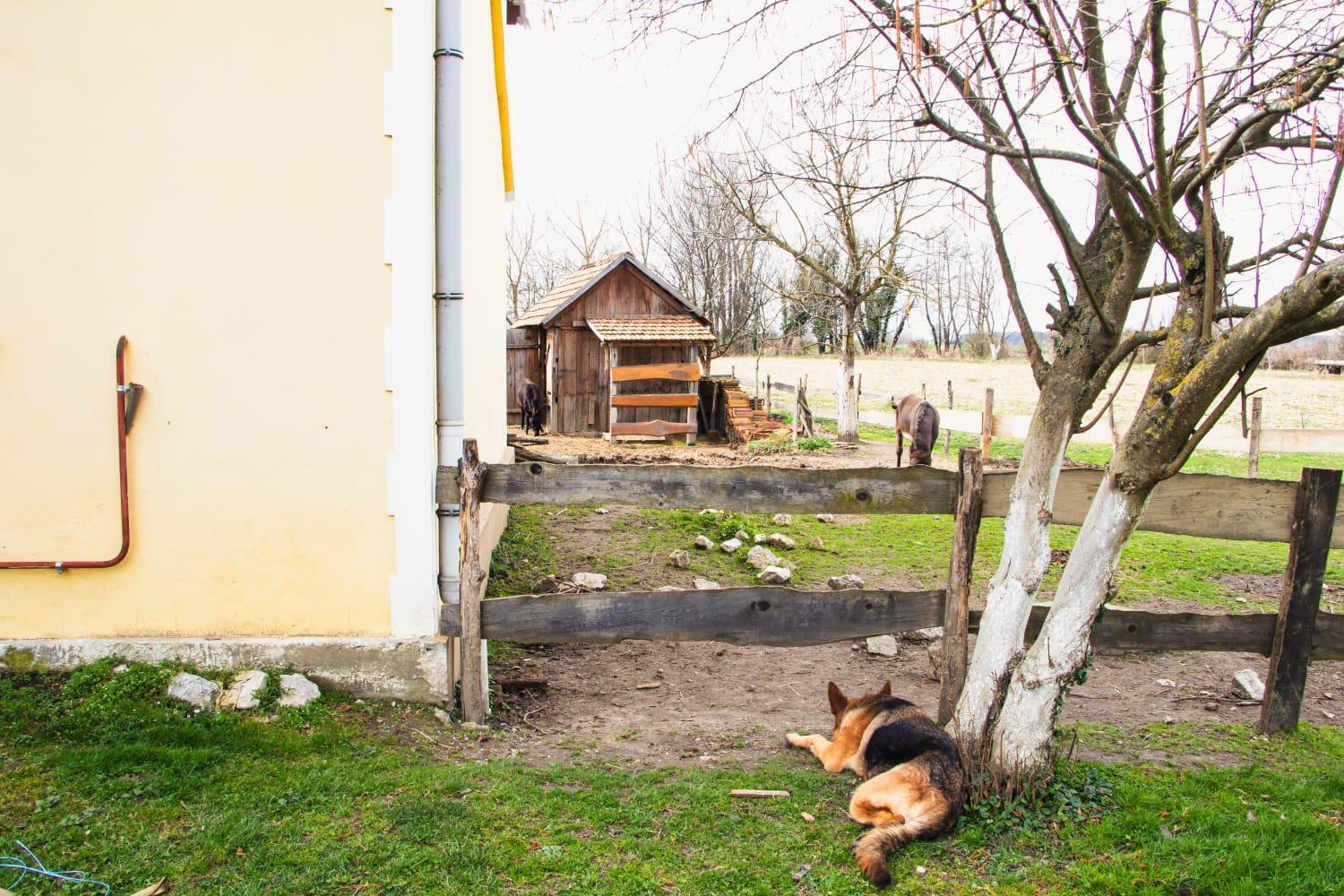 Country House Ivancan Molve ภายนอก รูปภาพ