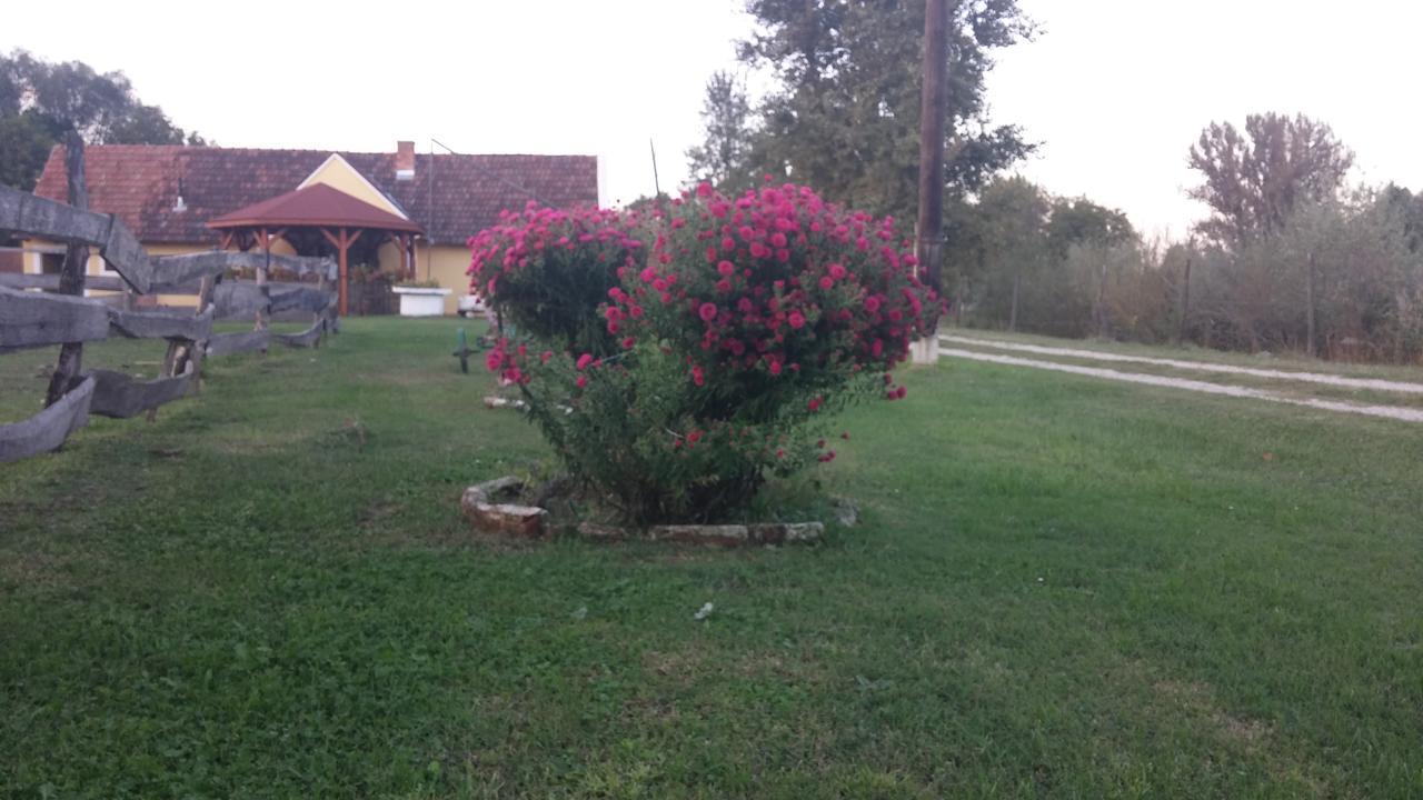 Country House Ivancan Molve ภายนอก รูปภาพ